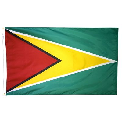 2ft. x 3ft. Guyana Flag with Canvas Header