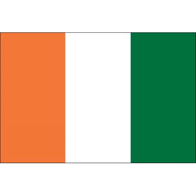 2ft. x 3ft. Ivory Coast Flag for Indoor Display