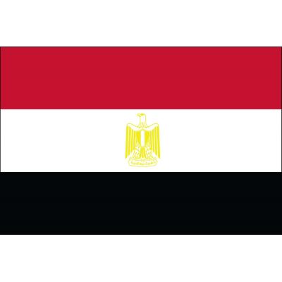 3ft. x 5ft. Egypt Flag for Parades & Display
