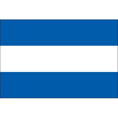 4ft. x 6ft. El Salvador Flag No Seal for Parades & Display