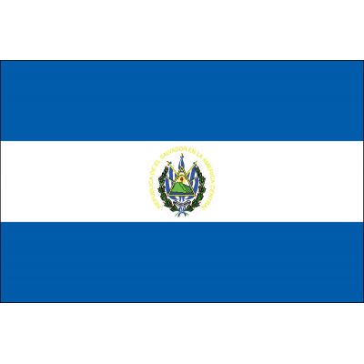 4ft. x 6ft. El Salvador Flag Seal for Parades & Display