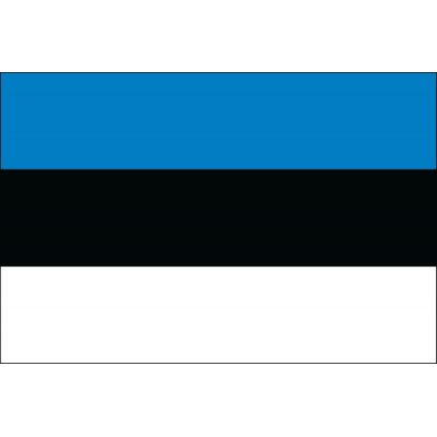 2ft. x 3ft. Estonia Flag for Indoor Display