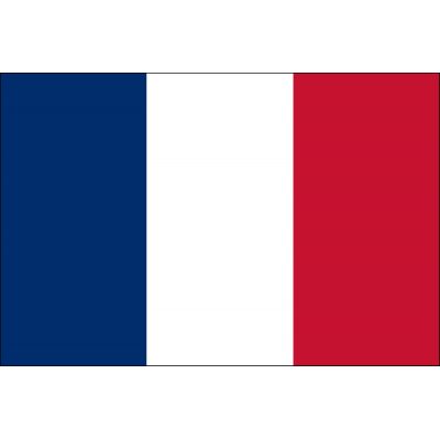 4ft. x 6ft. France Flag for Parades & Display