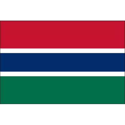 4ft. x 6ft. Gambia Flag for Parades & Display