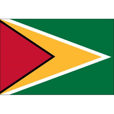 4ft. x 6ft. Guyana Flag for Parades & Display
