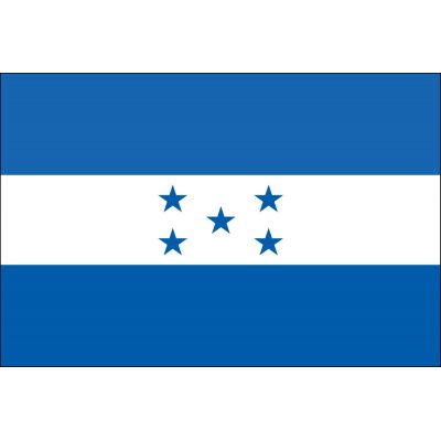 3ft. x 5ft. Honduras Flag for Parades & Display