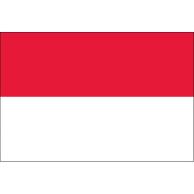 2ft. x 3ft. Indonesia Flag for Indoor Display
