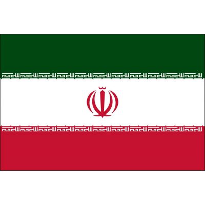 2ft. x 3ft. Iran Flag for Indoor Display