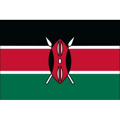 2ft. x 3ft. Kenya Flag for Indoor Display