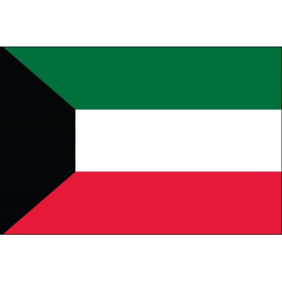 2ft. x 3ft. Kuwait Flag for Indoor Display
