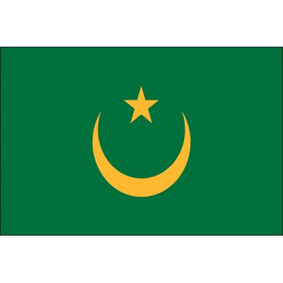 2ft. x 3ft. Mauritania Flag for Indoor Display