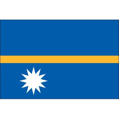 4ft. x 6ft. Nauru Flag for Parades & Display