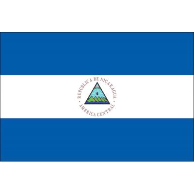 4ft. x 6ft. Nicaragua Flag Seal for Parades & Display