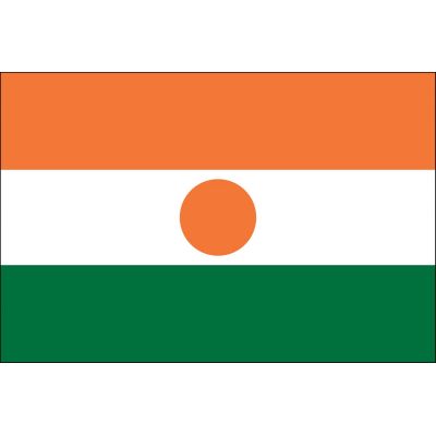 3ft. x 5ft. Niger Flag for Parades & Display
