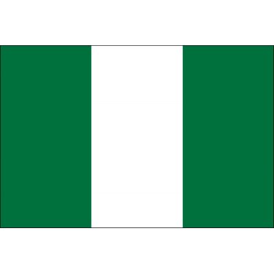 3ft. x 5ft. Nigeria Flag for Parades & Display