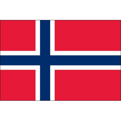 2ft. x 3ft. Norway Flag for Indoor Display