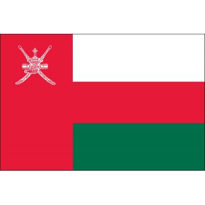 2ft. x 3ft. Oman Flag for Indoor Display