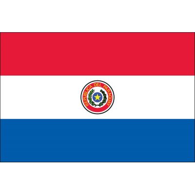 3ft. x 5ft. Paraguay Flag for Parades & Display