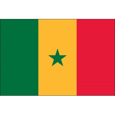 3ft. x 5ft. Senegal Flag for Parades & Display