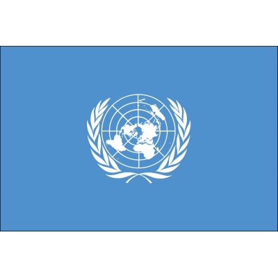 4ft. x 6ft. United Nations Flag with Brass Grommets