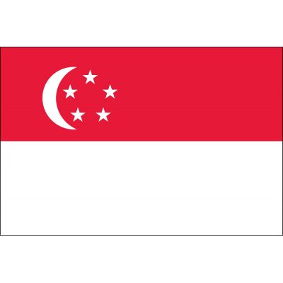 2ft. x 3ft. Singapore Flag for Indoor Display