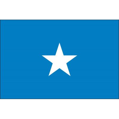 4ft. x 6ft. Somalia Flag for Parades & Display