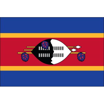 4ft. x 6ft. Swaziland Flag for Parades & Display
