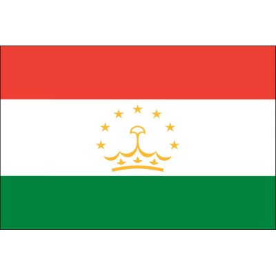 2ft. x 3ft. Tajikistan Flag for Indoor Display