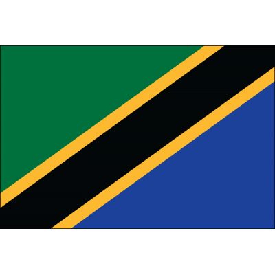 2ft. x 3ft. Tanzania Flag for Indoor Display