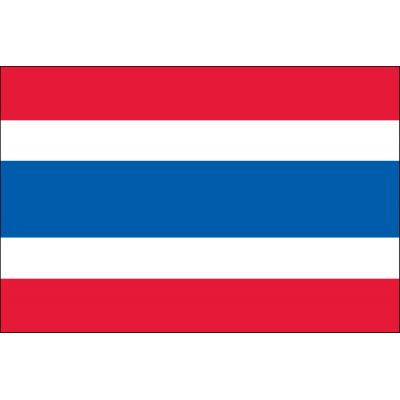 2ft. x 3ft. Thailand Flag for Indoor Display
