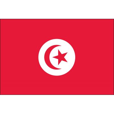 4ft. x 6ft. Tunisia Flag for Parades & Display