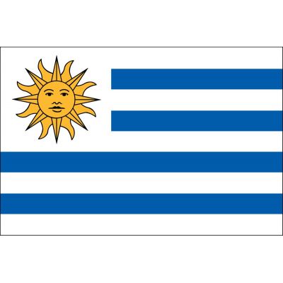 2ft. x 3ft. Uruguay Flag for Indoor Display