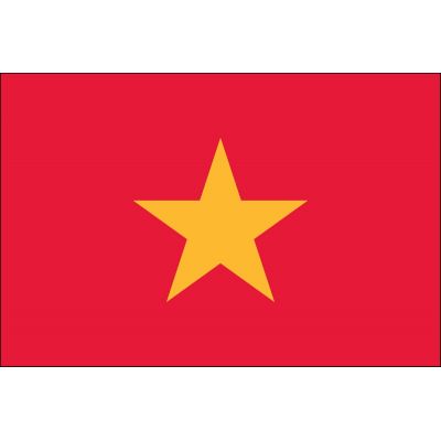 2ft. x 3ft. Vietnam Flag for Indoor Display