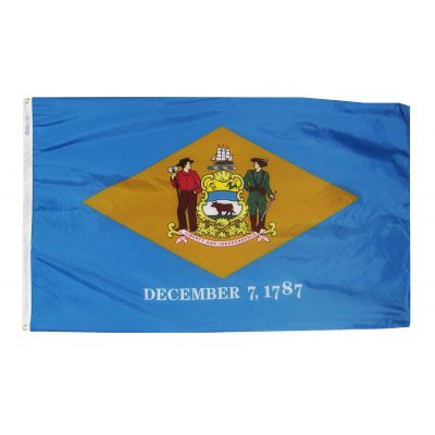 8ft. x 12ft. Delaware Flag