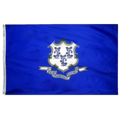 12 in. x 18 in. Connecticut Flag with Brass Grommets