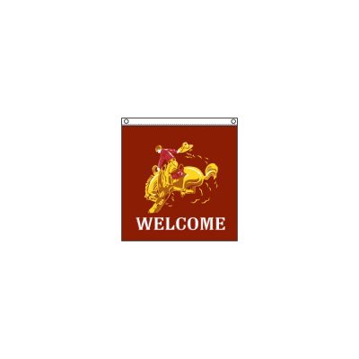 3 x 3 ft. Welcome Rodeo Horse Panel