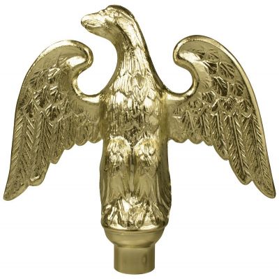 Perched Gold Eagle
