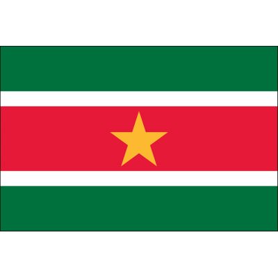 3 ft. x 5 ft. Suriname Flag E-poly with Brass Grommets