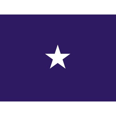 4ft. x 6ft. Chaplain 1 Star General Flag for Indoor Displaying