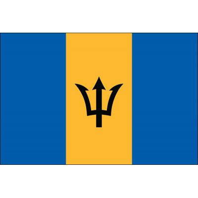2ft. x 3ft. Barbados Flag for Indoor Display