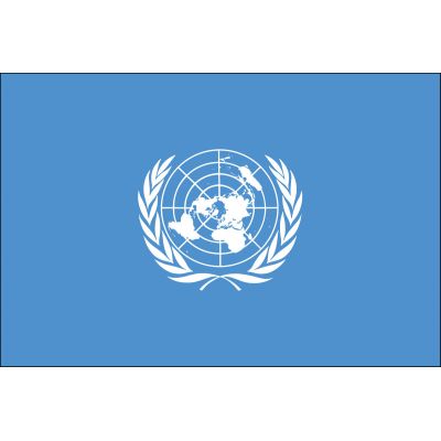 3ft. x 5ft. United Nations Flag with Brass Grommets