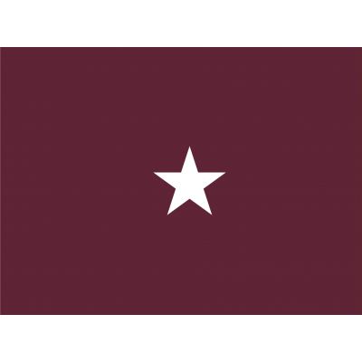 3ft. x 5ft. Army Medical 1 Star General Flag for Indoor Displaying