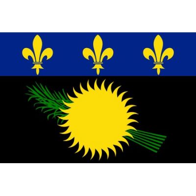 2ft. x 3ft. Guadeloupe Flag with a Black Field & Canvas Header