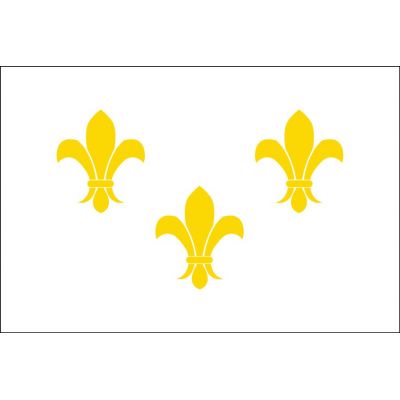 2 ft. x 3 ft. 3 Gold Fleur De Lis Flag w/ White Background