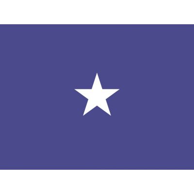4ft. x 6ft. Air Force 1 Star General Flag w/ Side Pole Sleeve