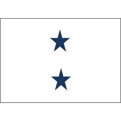 3ft. x 4ft. Navy 2 Star Non-Seagoing Admiral Flag w/ Lined Pole Sleeve