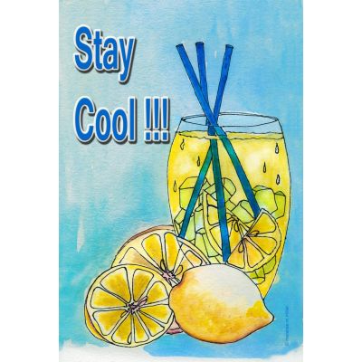Stay Cool Lemonade House Flag