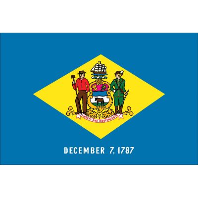 Delaware Flag Detail