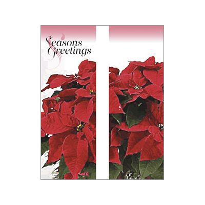 30 x 84 in. Holiday Banner Potted Poinsettias-Double Sided Design