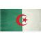 2 ft. x 3 ft. Algeria Flag for Indoor Display